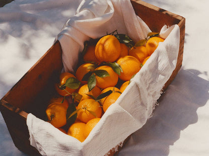 RUBY VALENCIA & APRICOT FRUIT SPREAD